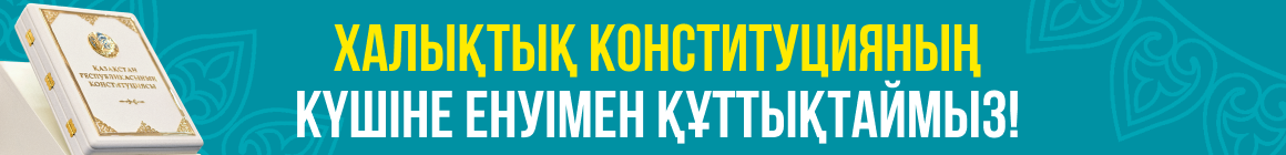 Новая конституция