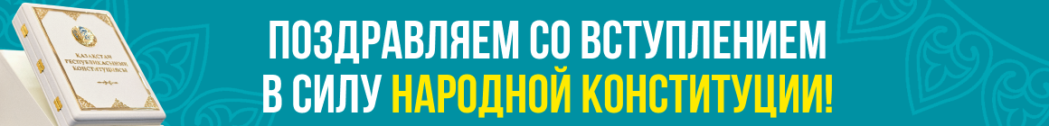 Новая конституция